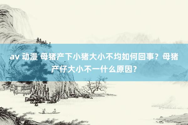av 动漫 母猪产下小猪大小不均如何回事？母猪产仔大小不一什么原因？
