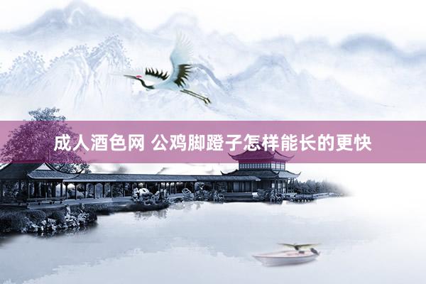 成人酒色网 公鸡脚蹬子怎样能长的更快