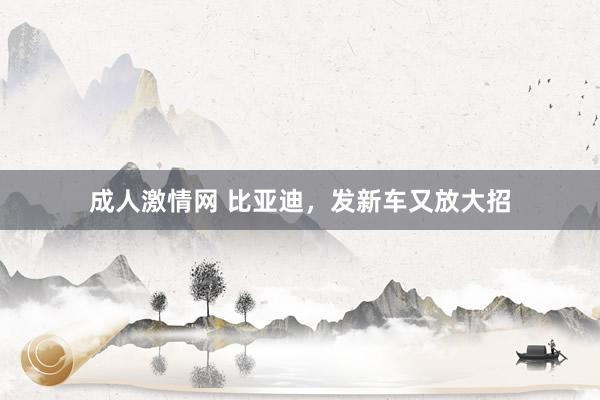 成人激情网 比亚迪，发新车又放大招