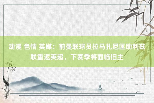 动漫 色情 英媒：前曼联球员拉马扎尼匡助利兹联重返英超，下赛季将面临旧主