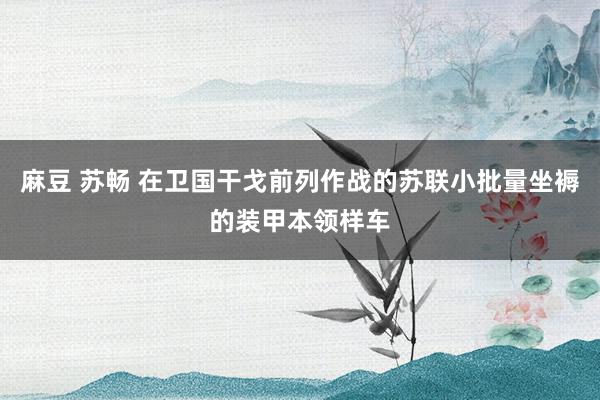 麻豆 苏畅 在卫国干戈前列作战的苏联小批量坐褥的装甲本领样车