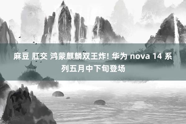 麻豆 肛交 鸿蒙麒麟双王炸! 华为 nova 14 系列五月中下旬登场
