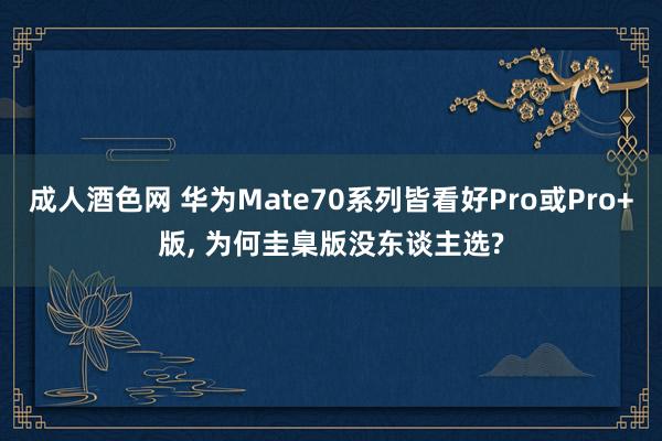 成人酒色网 华为Mate70系列皆看好Pro或Pro+版， 为何圭臬版没东谈主选?