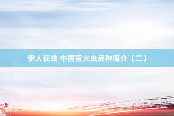 伊人在线 中国萤火虫品种简介（二）